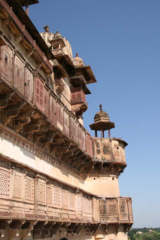 India & Nepal 2011 - 1053